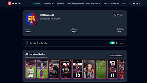 Instagram Story Viewer