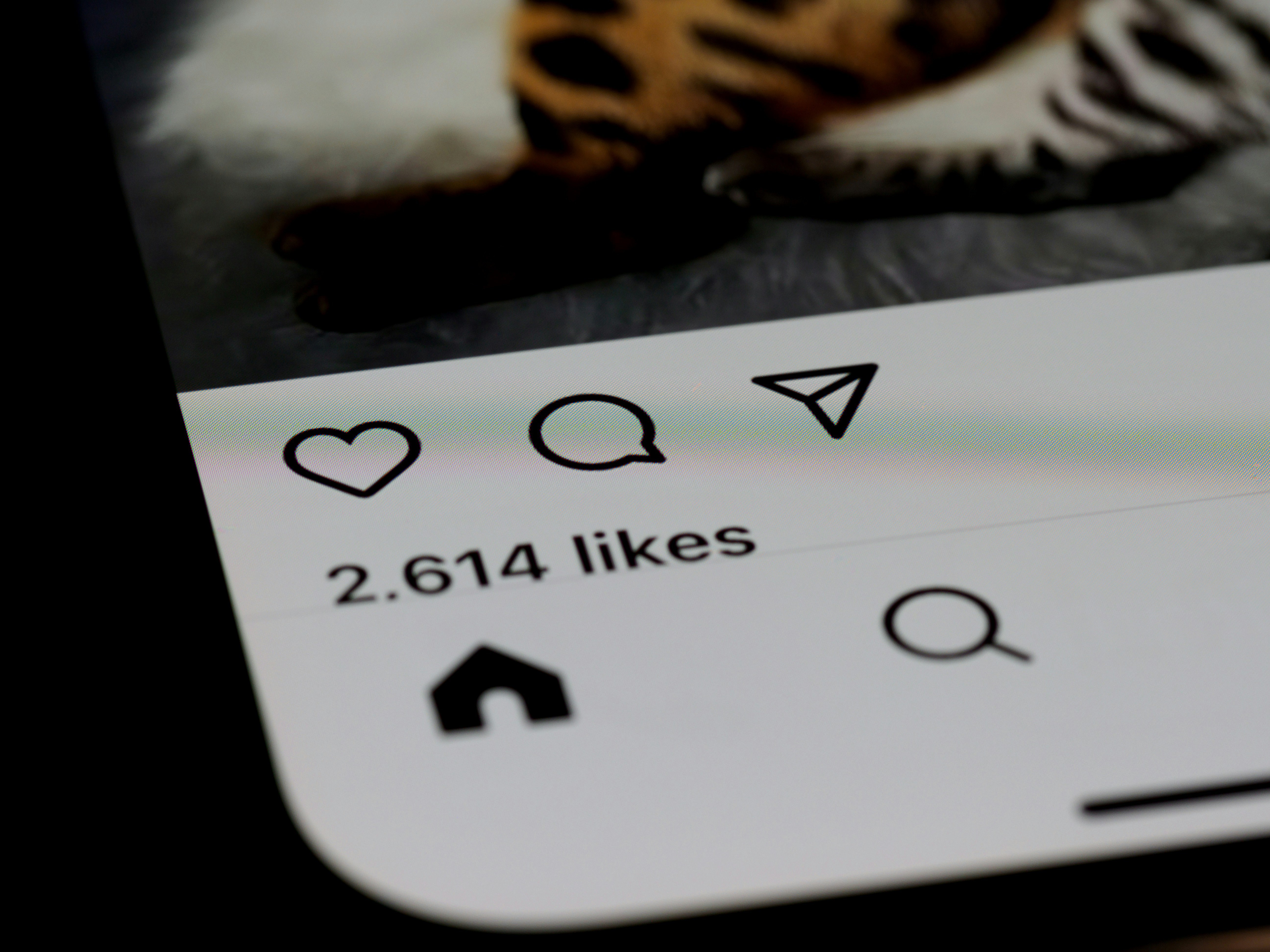 Unduh Cerita Instagram Lama — Apa yang Mungkin dan Apa yang Tidak (Arsip & Sorotan Dijelaskan)